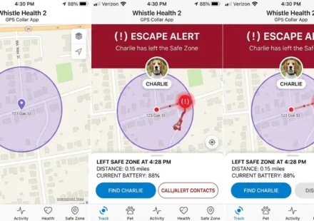 whistle gps dog tracker vs apple airtag