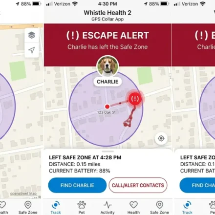 whistle gps dog tracker vs apple airtag