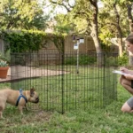 Outdoor french bulldog pen portable