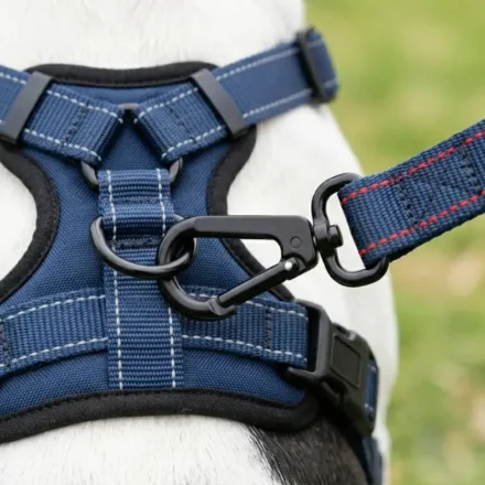 Top harnesses for adult french bulldogs