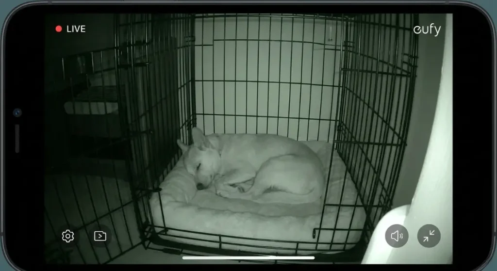 yitahome pet camera vs eufy solo