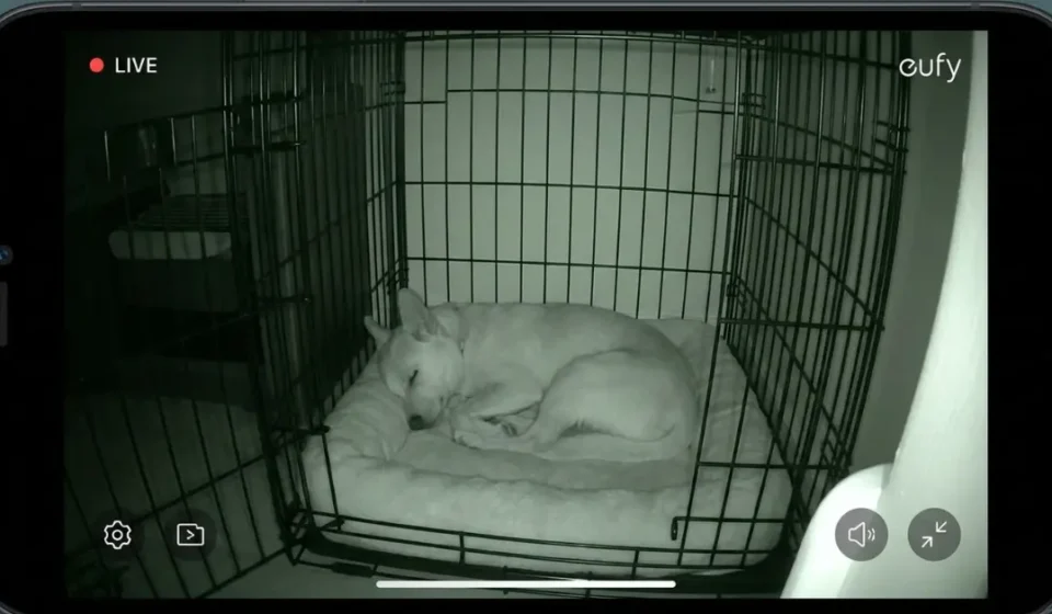 yitahome pet camera vs eufy solo