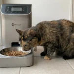 Mazzy automatic feeder vs wopet