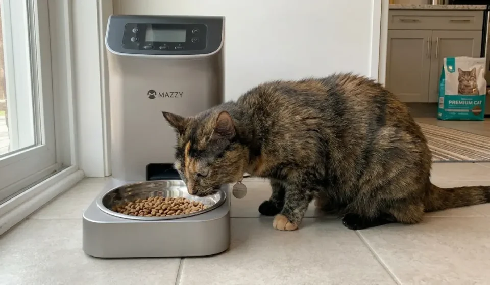 Mazzy automatic feeder vs wopet