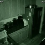 Wyze Cam v4 night vision cat monitoring kitchen